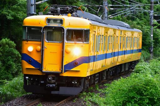 森林を駆ける電車(113系) 森林を駆ける電車(113系) 電車,列車,鉄道の写真素材
