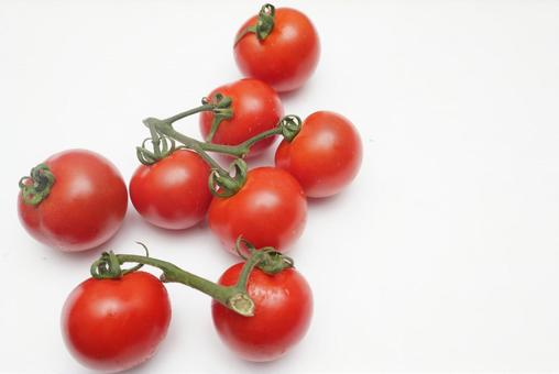 Photo, petit tomatoes, vegetables, red, 