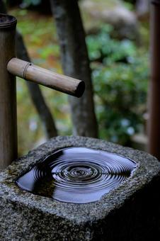 水紋 水紋の写真