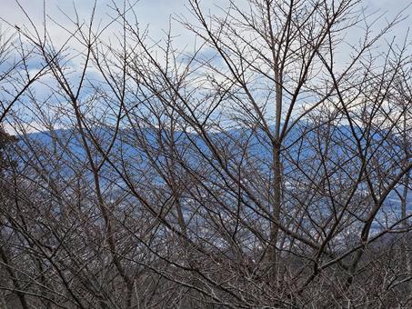 冬の山 冬の山の写真