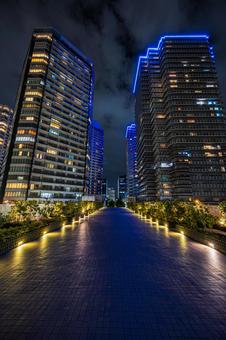 都市夜景 都市夜景の写真
