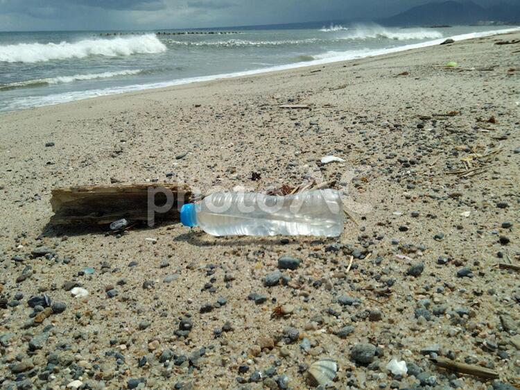 海に転がった流木と水の入ったペットボトル 背景,水,入れ物の写真素材