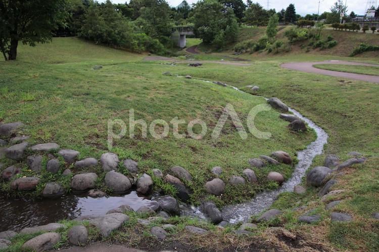 公園内を流れる小川 公園,小川,流れるの写真素材
