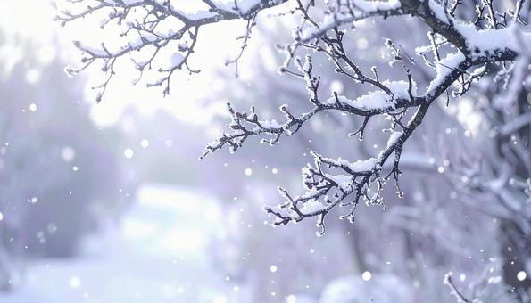 雪のつもる枝がきらめく 冬の風景 雪のつもる枝がきらめく 冬の風景の写真