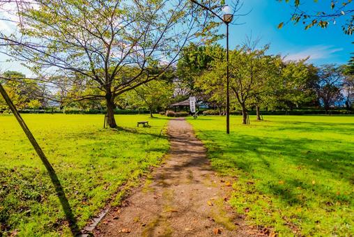 【山形】山形駅の周辺 山形城跡 霞城公園 【山形】山形駅の周辺 山形城跡 霞城公園 山形城跡,城跡,山形の写真素材