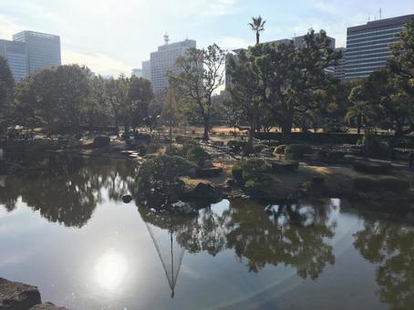 太陽が反射する池 太陽が反射する池の写真