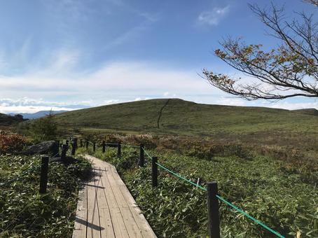 高原の木道 高原の木道の写真