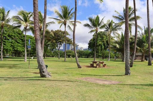 カピオラニパーク カピオラニパーク ハワイ,hawaii,ハワイ旅行の写真素材