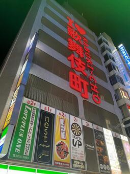 歌舞伎町 歌舞伎町,新宿,夜の写真素材