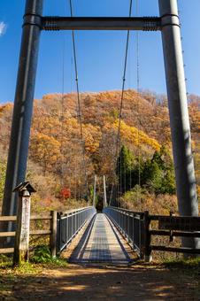 晩秋のやまびこ吊橋⑴ 橋,吊り橋,やまびこ吊橋の写真素材