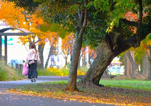 秋公園の遊歩道 紅葉,公園,人の写真素材