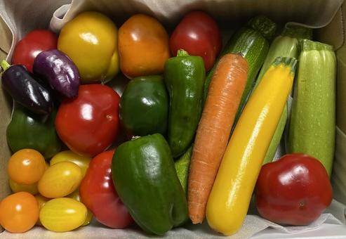 Photo, vegetables, colorful, multicolored, 