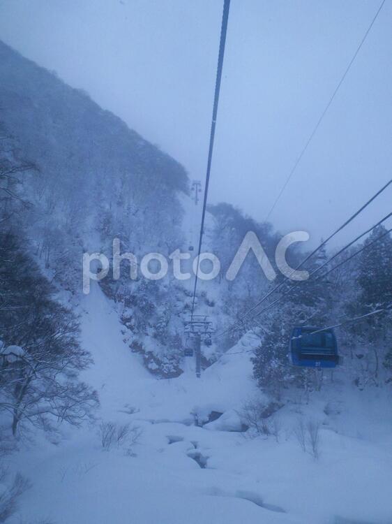 曇りのゲレンデ（スキー場） 冬,スキー場,雪の写真素材