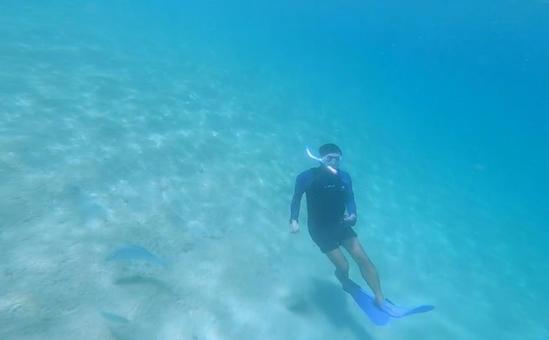 スキンダイビングで海の底にいる男性 スキンダイビングで海の底にいる男性 海,自然,珊瑚の写真素材
