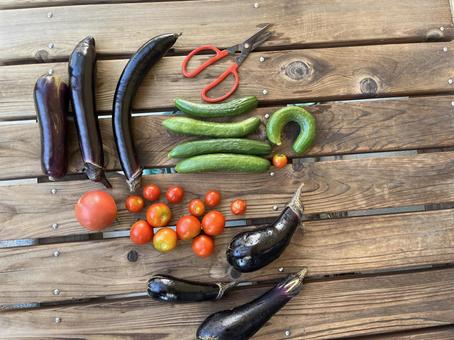 Photo, vegetables, eggplant, cucumber, 