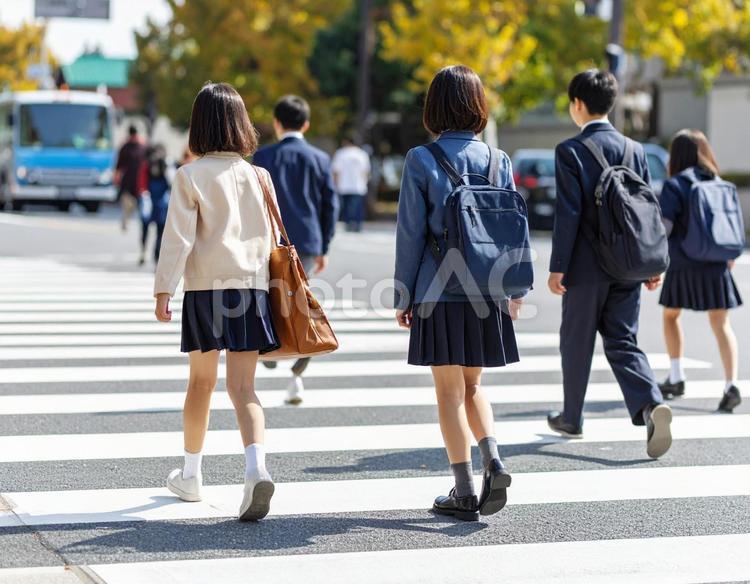 通学中の子供達の後ろ姿 通学,子供,風景の写真素材