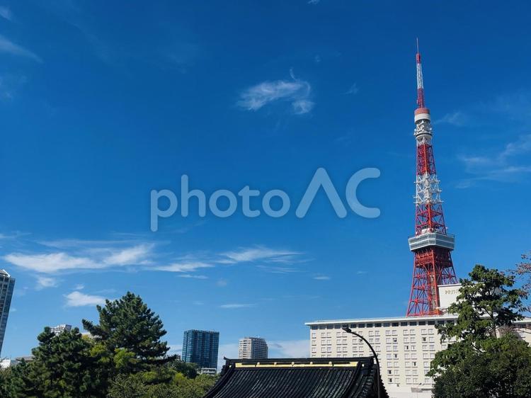 東京タワーのある風景 東京タワー,街並み,素材の写真素材