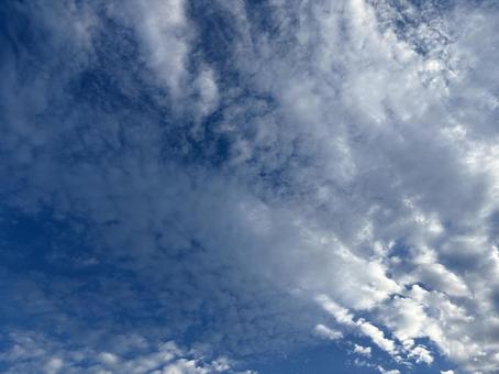夏雲 夏雲の写真