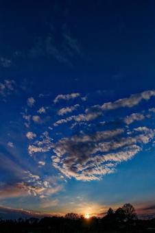 夕日縦構図 夕日縦構図の写真