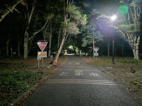 夜の公園 夜の公園 夜,公園,不気味の写真素材