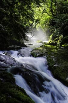 熊本-【菊池渓谷の光芒】 熊本-【菊池渓谷の光芒】 熊本,菊池渓谷,川の写真素材