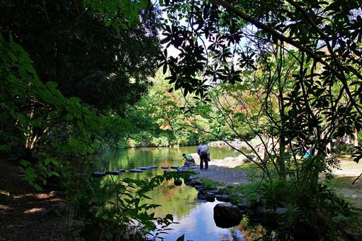 秋の始まり 秋の始まり 紅葉,始まり,イロハモミジの写真素材