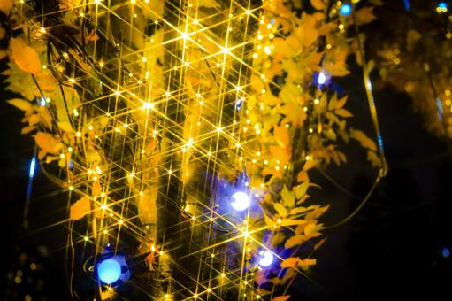 青白い光と黄葉の木 イルミネーション,光,青色ライトの写真素材