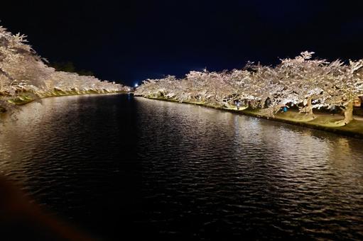 夜のライトアップされた桜並木と川 夜のライトアップされた桜並木と川 桜,夜桜,川の写真素材