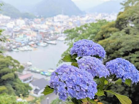 紫陽花と街 紫陽花と街の写真