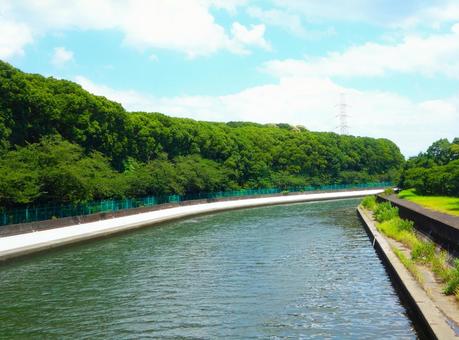 夏の空、川、森① 夏の空、川、森①の写真