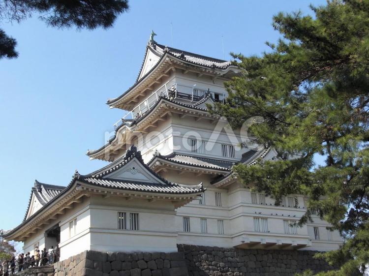 小田原城　百名城 小田原城,百名城,歴史の写真素材
