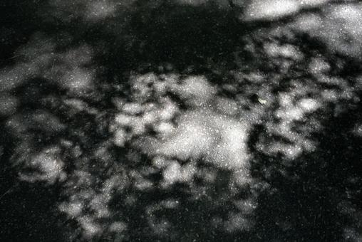 Photo, wood, shadow, leaf, 