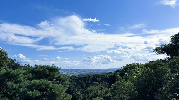 明治天皇・伏見桃山陵の山頂からの眺め 明治天皇・伏見桃山陵の山頂からの眺めの写真