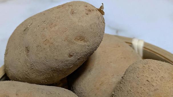 じゃがいも-27 じゃがいも,野菜,芋の写真素材