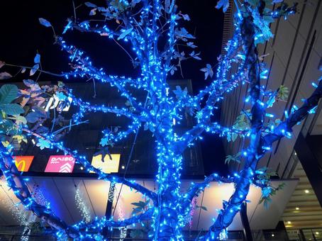 八王子駅南口のクリスマス・東京都八王子市 冬,クリスマス,イルミネーションの写真素材
