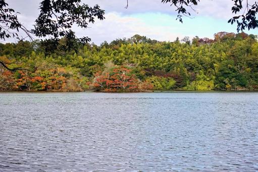 湖面を渡る初秋の風　一碧湖 湖面,初秋,さざ波の写真素材