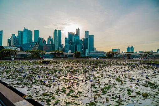 【シンガポール】アートサイエンスの写真