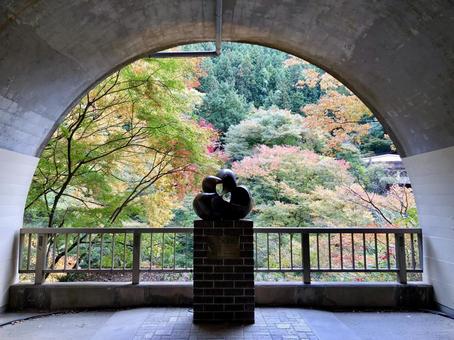 可愛い紅葉（茨城県大子町、袋田の滝） 秋,紅葉,自然の写真素材