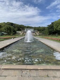 須磨 離宮公園 須磨 離宮公園 兵庫,神戸,須磨の写真素材