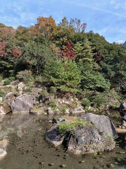 福井県-西福寺-書院庭園 西福寺,寺,大原山の写真素材