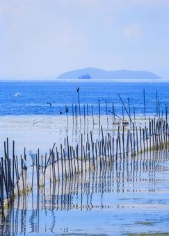 蒼い琵琶湖、晩夏の一刻 蒼い琵琶湖、晩夏の一刻の写真