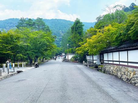 田舎の参道 田舎の参道の写真