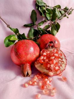 ザクロの実１の写真