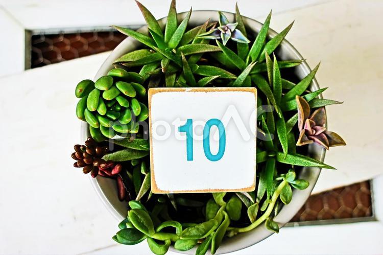 数字の10 10,数字,番号の写真素材