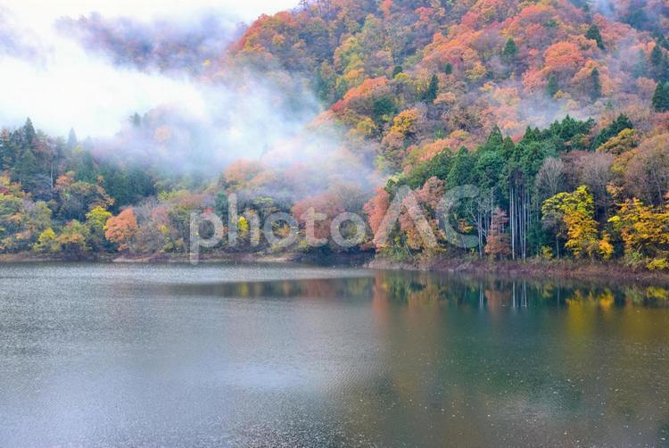 花貫渓谷の紅葉（北茨城） 秋,紅葉,花茎渓谷の写真素材