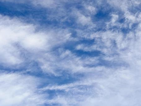 【風景写真】夏空 【風景写真】夏空の写真