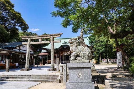 唐津神社の狛犬 唐津神社の狛犬 唐津神社,獅子,神社の写真素材