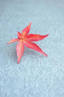 秋 紅葉 秋 紅葉の写真