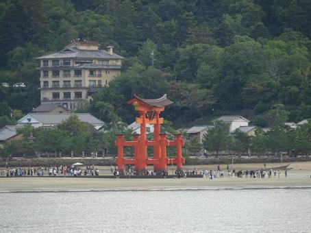 宮島観光 厳島神社,鳥居,宮島の写真素材