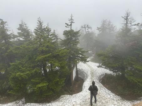 悪天候の八幡平 悪天候の八幡平の写真